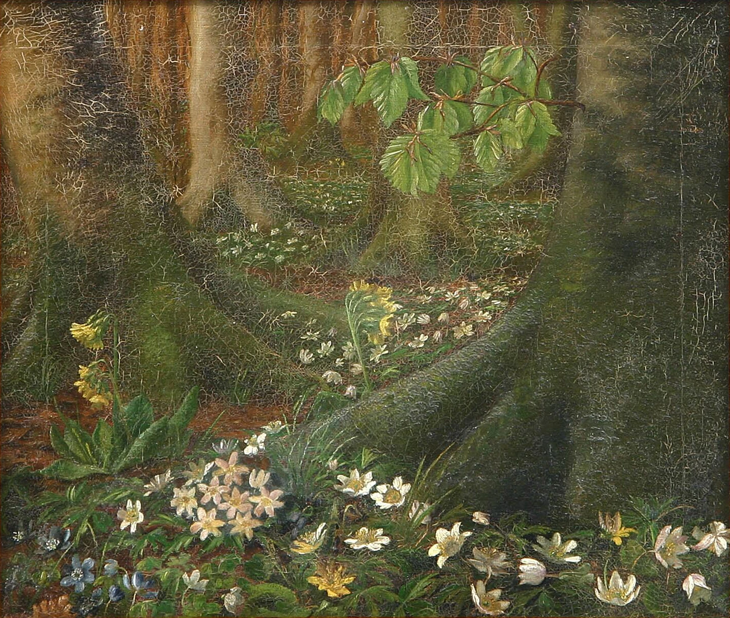 1839-Anna Cathrine Christine Heerfordt - Anemoni dei boschi, faggi e selvaggina